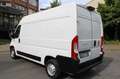 Fiat Ducato 130 Multijet L2H2 Navi/Kamera/DAB/AHK Weiß - thumbnail 3