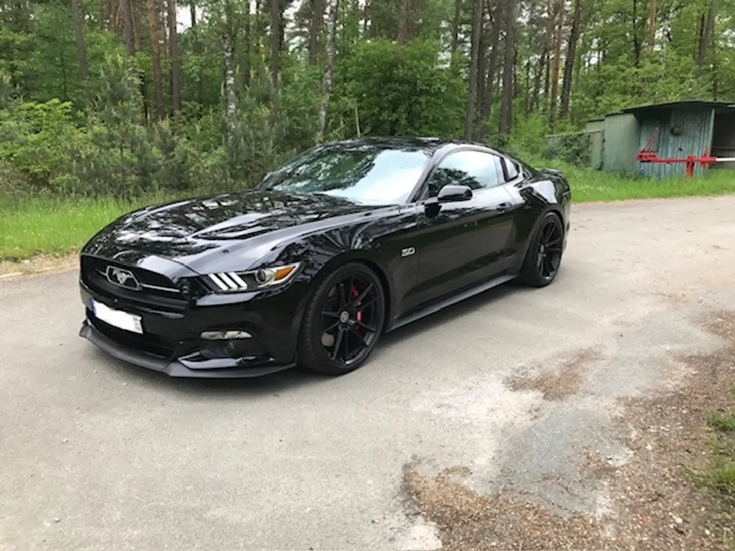 Ford Mustang Ford Mustang 5.0 GT Premium 50 Years Edition D - 2