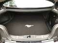 Ford Mustang Ford Mustang 5.0 GT Premium 50 Years Edition D - thumbnail 19