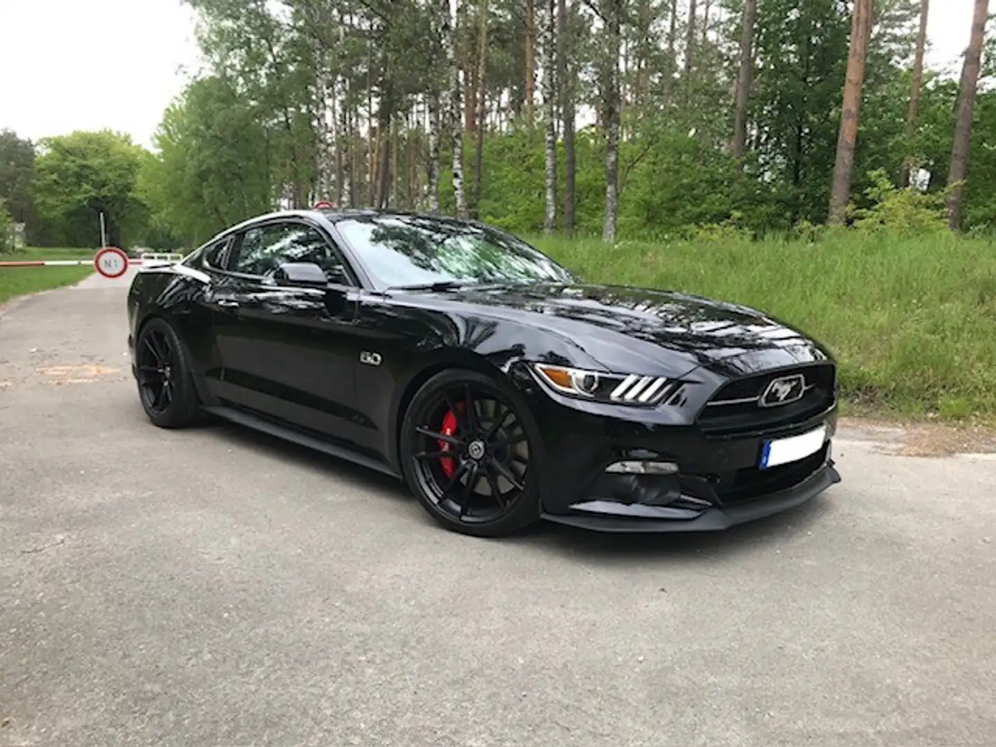 Ford Mustang Ford Mustang 5.0 GT Premium 50 Years Edition D - 1