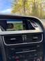 Audi A4 allroad 3.0 V6 tdi Advanced zelena - thumbnail 6