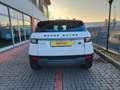 Land Rover Range Rover Evoque 2.0 TD4 150 CV 5p. HSE Dynamic Bianco - thumbnail 5