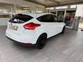 Ford Focus Focus 1.0 EcoBoost Titanium Weiß - thumbnail 3