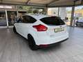 Ford Focus Focus 1.0 EcoBoost Titanium Weiß - thumbnail 4