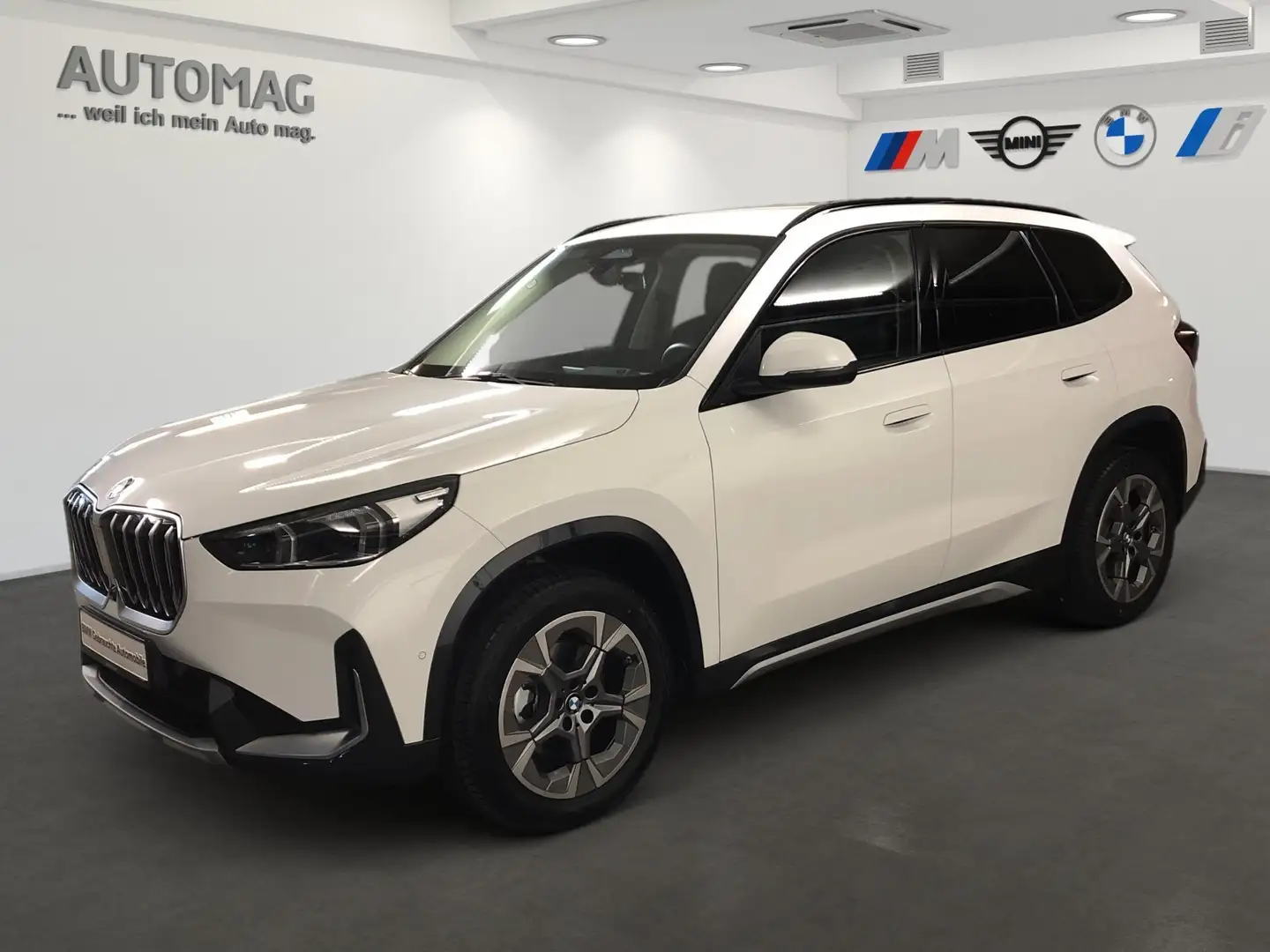 BMW X1 sDrive18i X-Line*AHK*DriveAssistPlus*ParkAssistPlu Weiß - 1