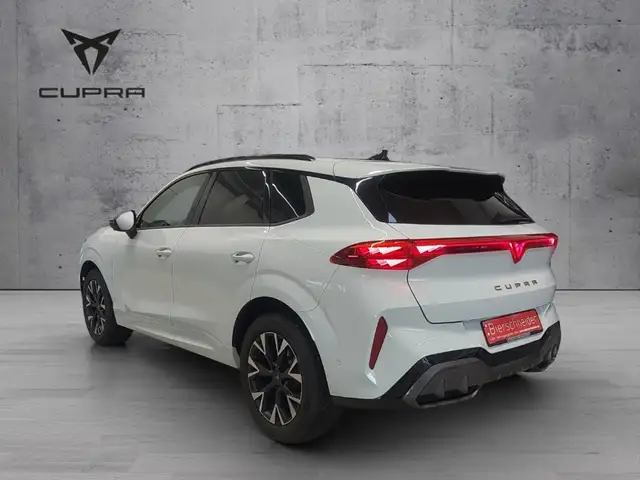 Cupra Terramar view 8
