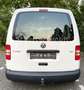 Volkswagen Caddy KA*1.6*Ölleuchte brennt teilw.*Motor läuft Weiß - thumbnail 10