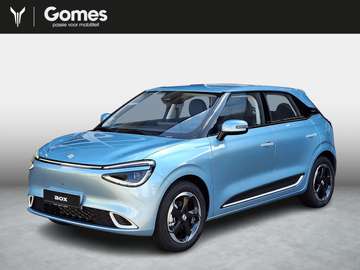 Premium Edition 42 kWh | 360° camera | Adaptieve c