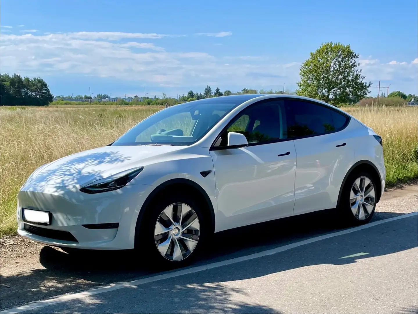 Tesla Model Y Long Range Dual AWD Alb - 1