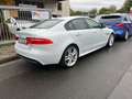 Jaguar XE R-Sport*Motor Klackert* Blanc - thumbnail 2