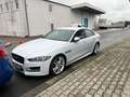 Jaguar XE R-Sport*Motor Klackert* Blanc - thumbnail 1