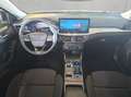 Ford Focus Turnier 1.5 EcoBlue Aut. TITANIUM EDITION Schwarz - thumbnail 9