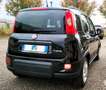 Fiat Panda Panda  1.0 firefly hybrid City Life S&S Nero - thumbnail 6