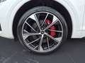 Audi SQ5 3.0 TDI quattro tiptronic Weiß - thumbnail 12