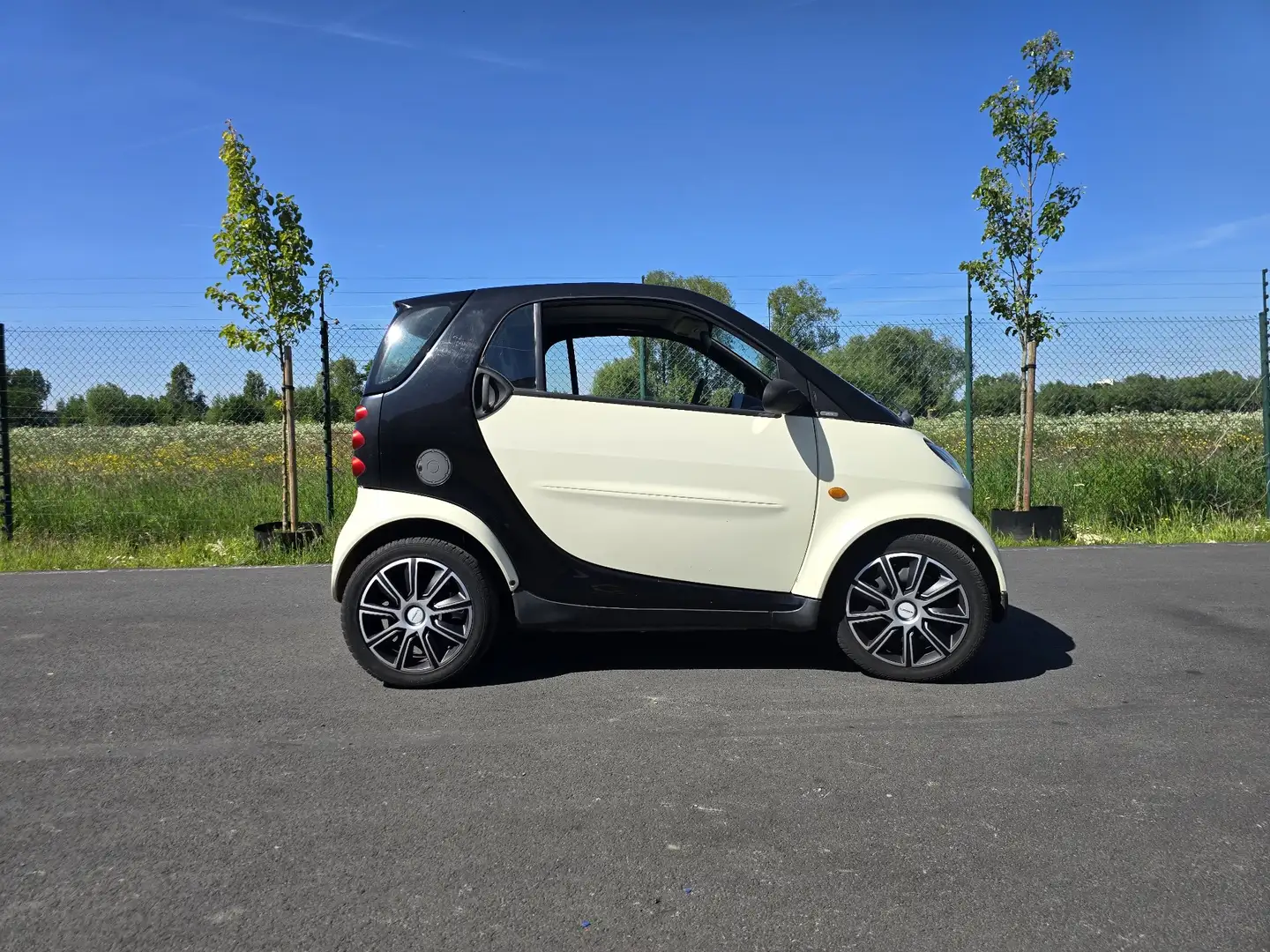 smart forTwo Pure - 2