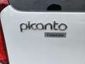 Kia Picanto 1.2 CVVT DynamicLine Clima Half leder Velgen 5 zit Wit - thumbnail 9