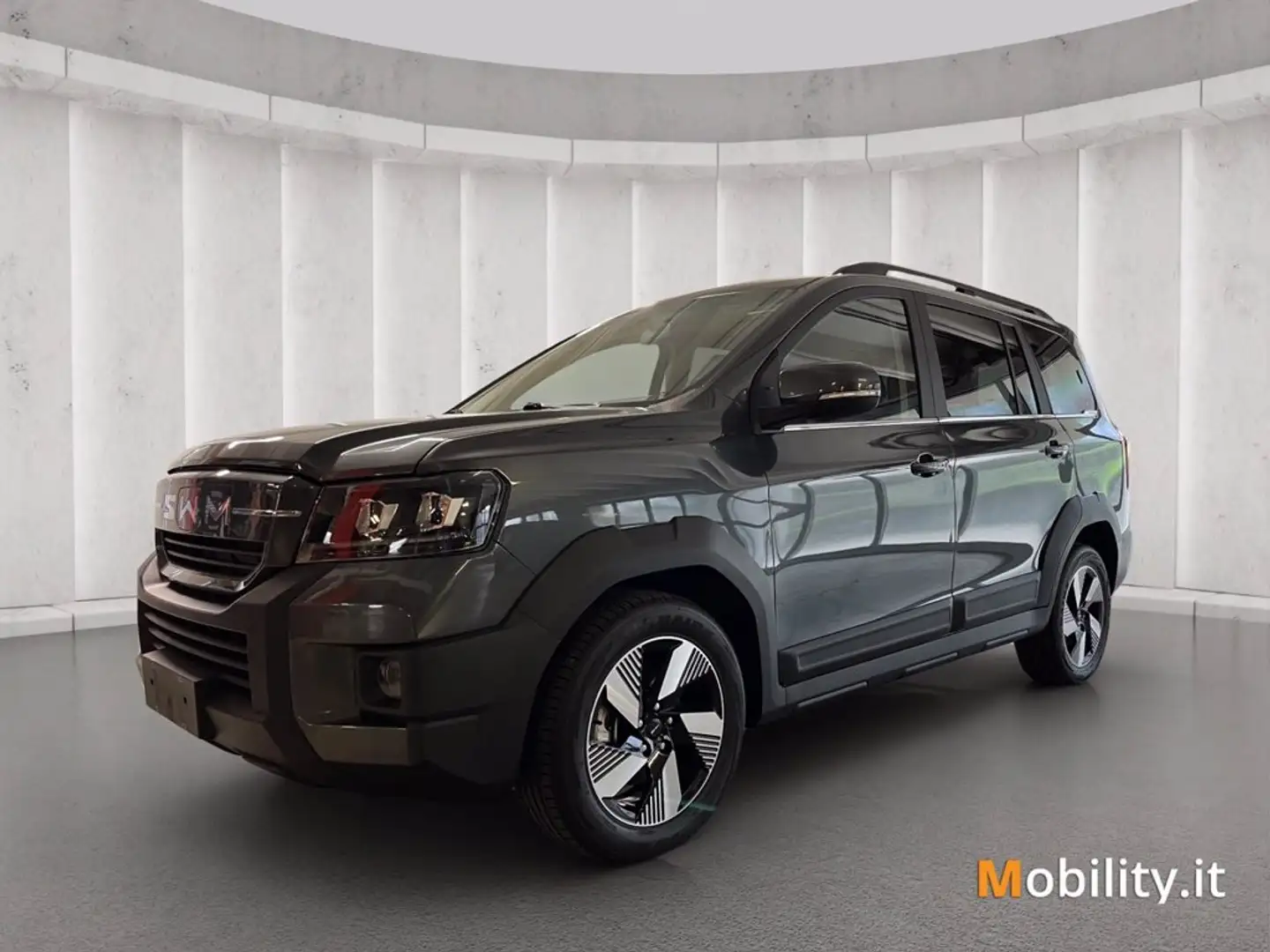 SWM G03F Super Hybrid 1.5 phev ecvt Gris - 1