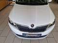 Skoda Rapid/Spaceback Joy*Parkhilfe*Scheckheft gepf.*Allwetter*SHZ*Klima Weiß - thumbnail 13
