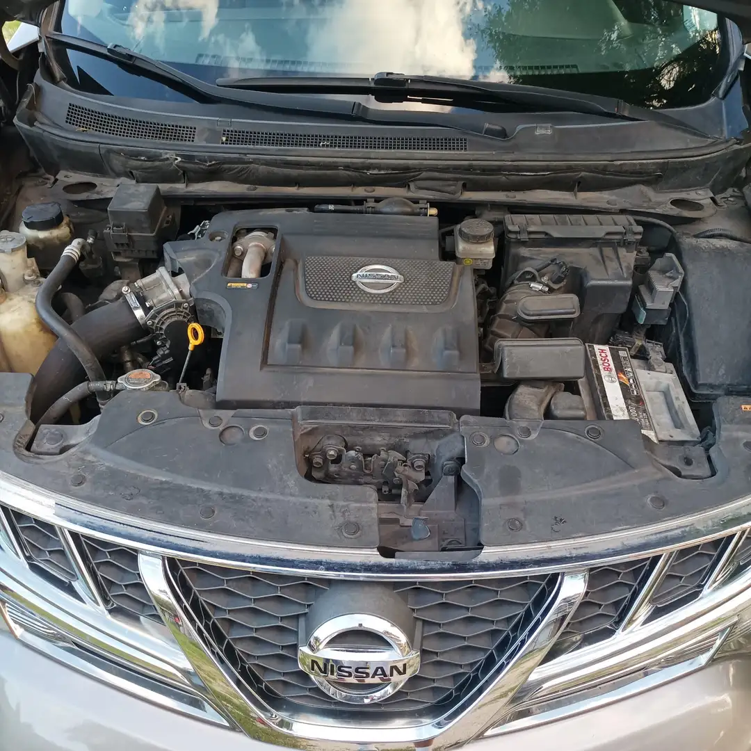 Nissan Murano Murano II 2009 2.5 dci Acenta Grigio - 1