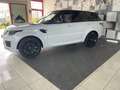 Land Rover Range Rover Sport Range Rover Sport II  3.0 sdV6 HSE 249cv auto my19 Blanc - thumbnail 5