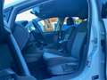 Volkswagen Golf VII  5p 1.6 tdi Trendline 90cv #ok neo patentati# Blanco - thumbnail 9