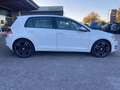 Volkswagen Golf VII  5p 1.6 tdi Trendline 90cv #ok neo patentati# Blanco - thumbnail 8