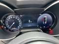 Alfa Romeo Stelvio 2.0 t Ti Q4 280cv auto Grigio - thumbnail 13