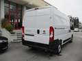 Fiat Ducato 35 L2H2 VAN 2.2 MJET 140CV - KM0 Bianco - thumbnail 3