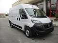 Fiat Ducato 35 L2H2 VAN 2.2 MJET 140CV - KM0 Bianco - thumbnail 1