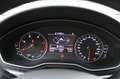 Audi A4 Avant 40 TDI quattro S tronic quattro edition Grigio - thumbnail 10