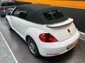 Volkswagen Maggiolino Cabrio 1.2 tsi 105Cv BT Sport ALL STAR Edition Blanc - thumbnail 42