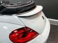 Volkswagen Maggiolino Cabrio 1.2 tsi 105Cv BT Sport ALL STAR Edition Blanc - thumbnail 15