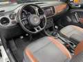 Volkswagen Maggiolino Cabrio 1.2 tsi 105Cv BT Sport ALL STAR Edition Blanc - thumbnail 21
