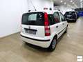 Fiat Panda 1.2 Dynamic Euro 5 Weiß - thumbnail 3