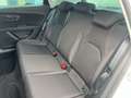 SEAT Leon 1.4 TSI FR+LED+NAVI+PDC+SHZ+TEMPOMAT Blanco - thumbnail 16