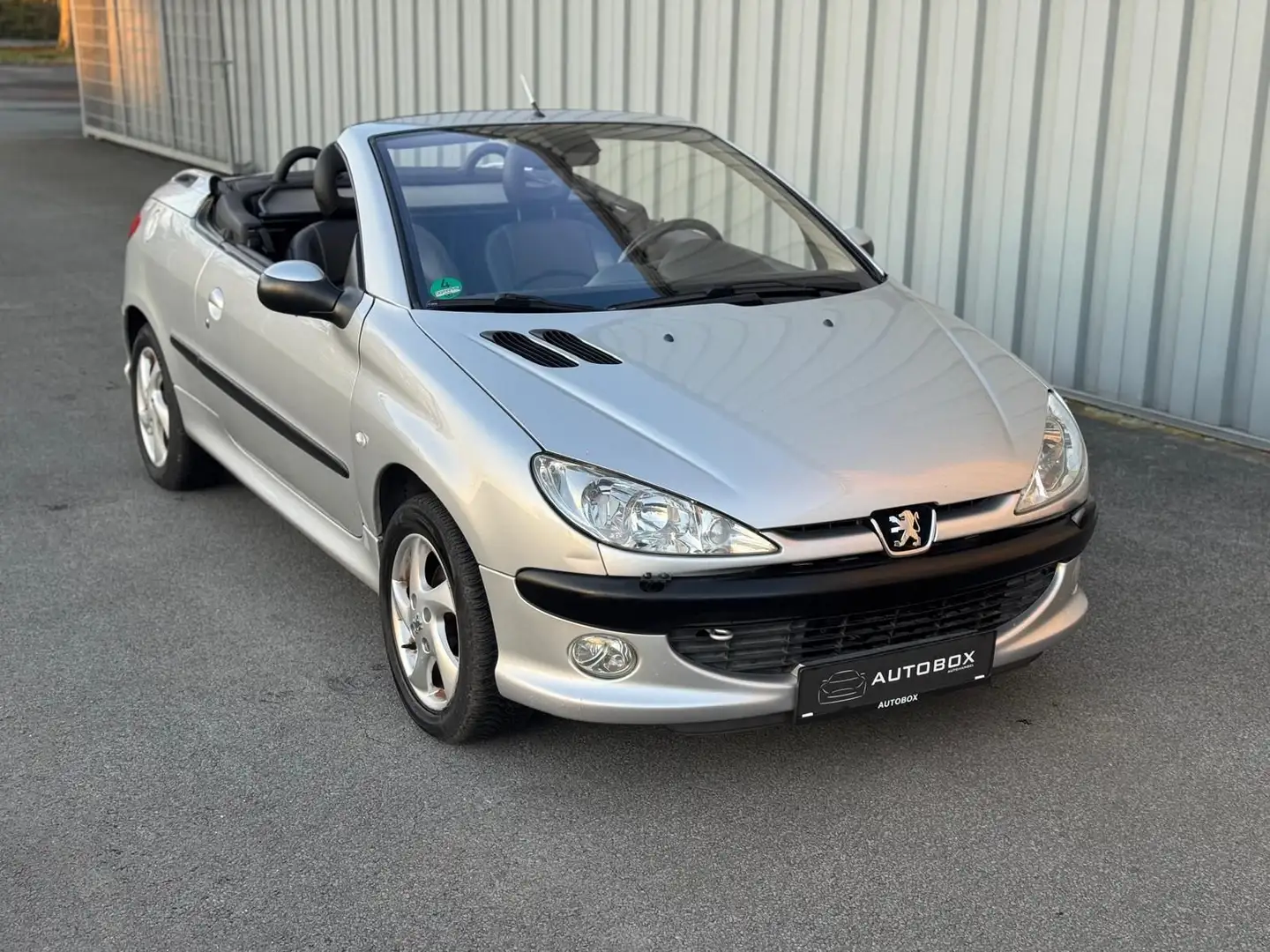 Peugeot 206 CC Platinum*LEDER*AUT* Negru - 2