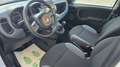Fiat Panda 0.9 TwinAir Turbo Natural Power Easy - 21.000 KM! Bianco - thumbnail 8
