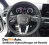 Audi A4 40 TDI quattro S line Weiß - thumbnail 12