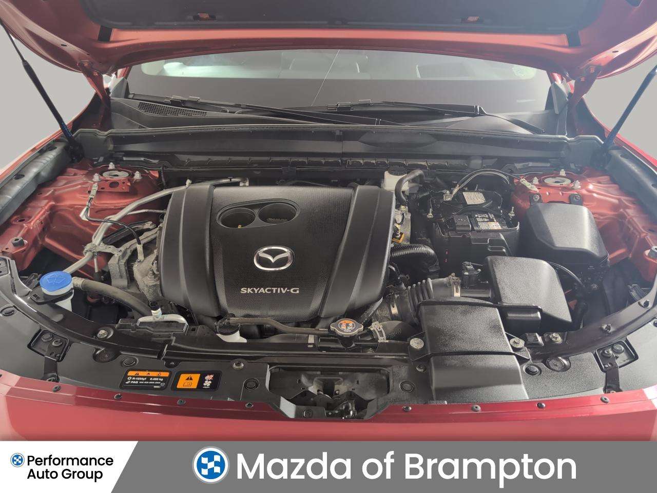Image 8
