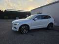 Volvo XC60 T8 Twin Engine AWD Geartronic Inscription - thumbnail 2