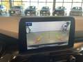 Ford Kuga Kuga 1.5 ecoblue ST-Line X 2wd 120cv auto Nero - thumbnail 11