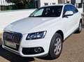 Audi Q5 Q5 2.0TDI Attraction 150 Attraction Blanco - thumbnail 8