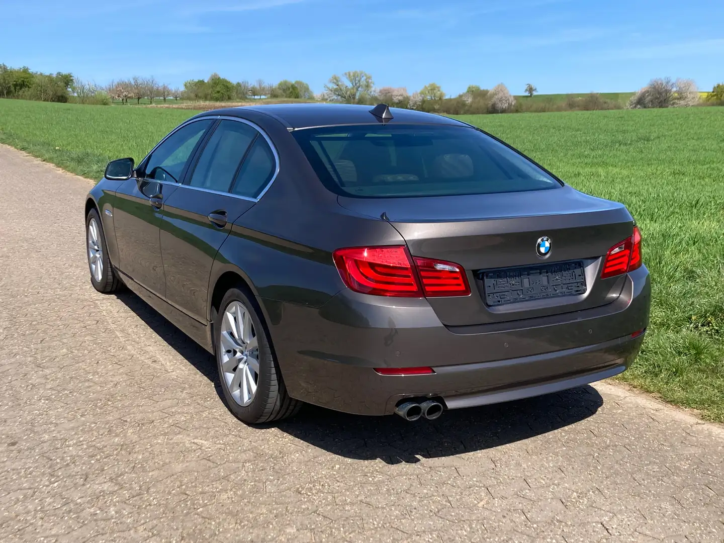 BMW 523 523 i Braun - 2