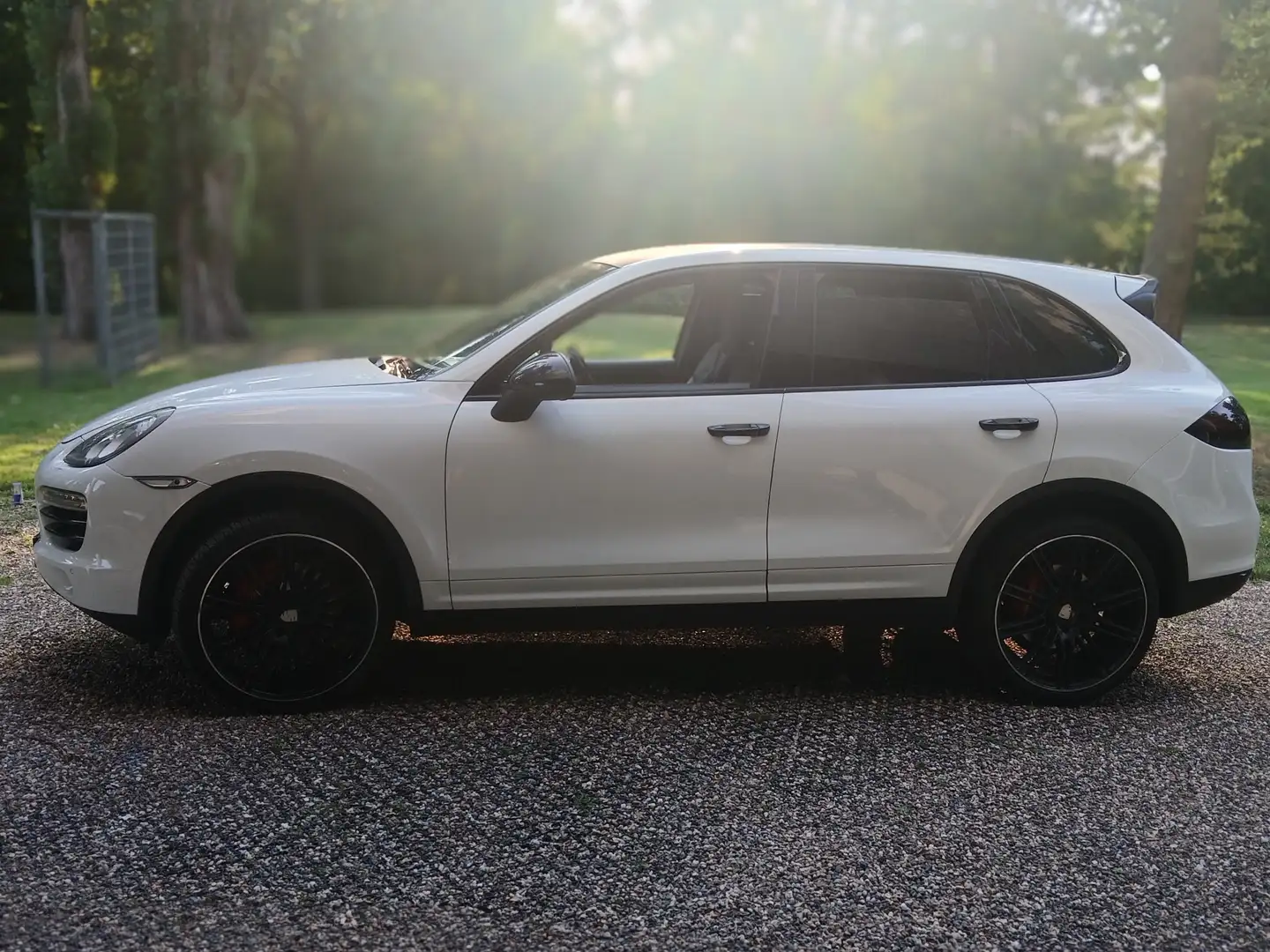 Porsche Cayenne Cayenne 3.0 D Wit - 1