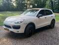 Porsche Cayenne Cayenne 3.0 D Wit - thumbnail 8