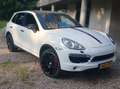 Porsche Cayenne Cayenne 3.0 D Wit - thumbnail 2