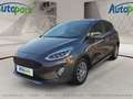 Ford Fiesta ACTIVE 1.0L ECOBOOST Grau - thumbnail 1
