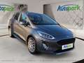 Ford Fiesta ACTIVE 1.0L ECOBOOST Grau - thumbnail 3