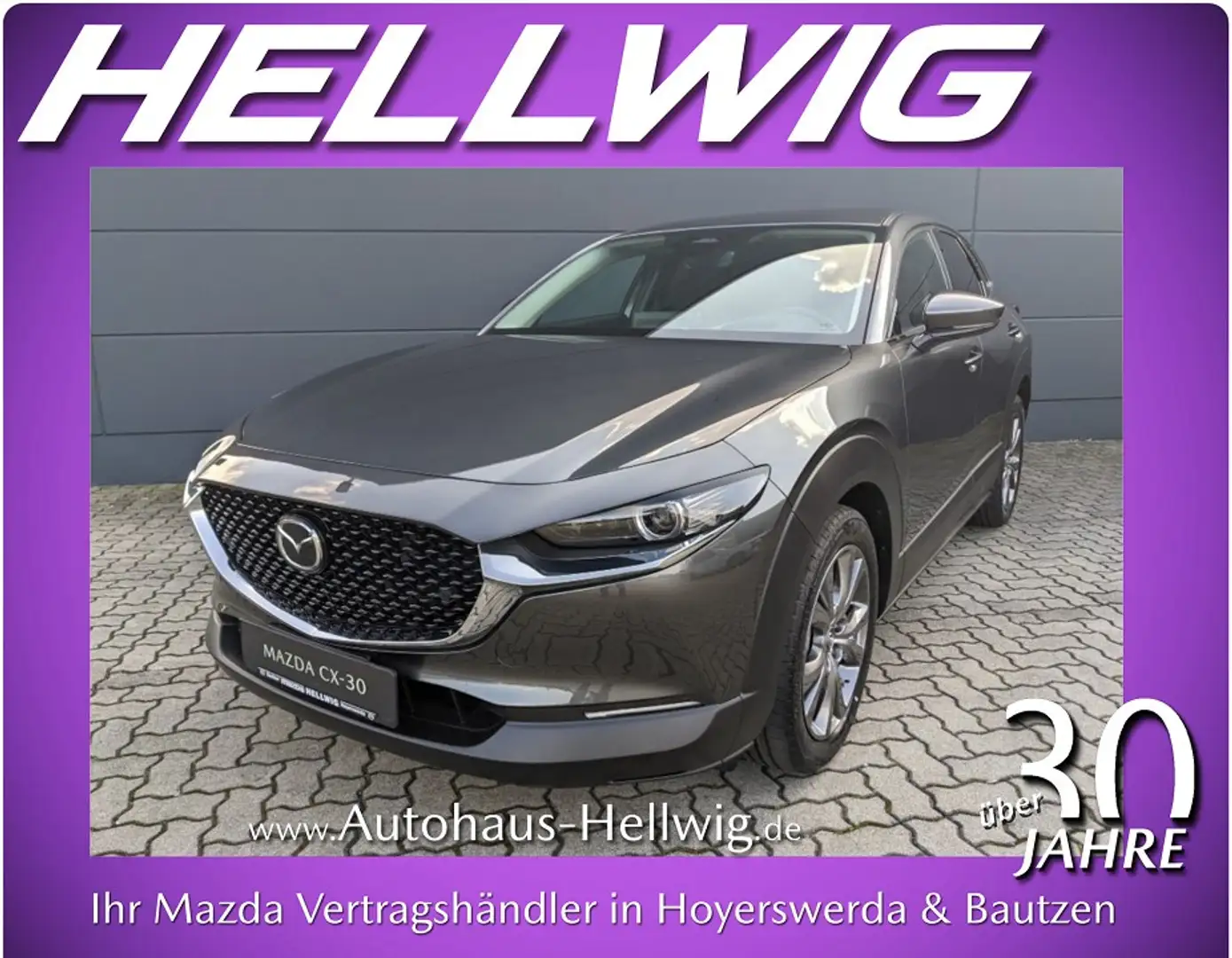 Mazda CX-30 2.0l Skyactiv-X Exclusive Bose Matrix-LED 360°Kame Grau - 1