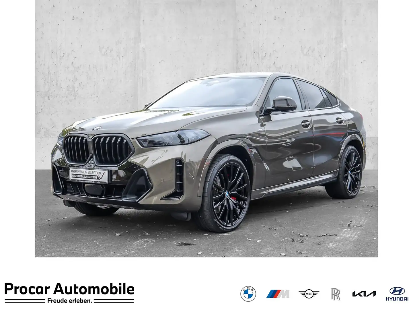 BMW X6 xDrive30d M Sport (ab 2022) PANO RFK NAVI LM Grau - 1